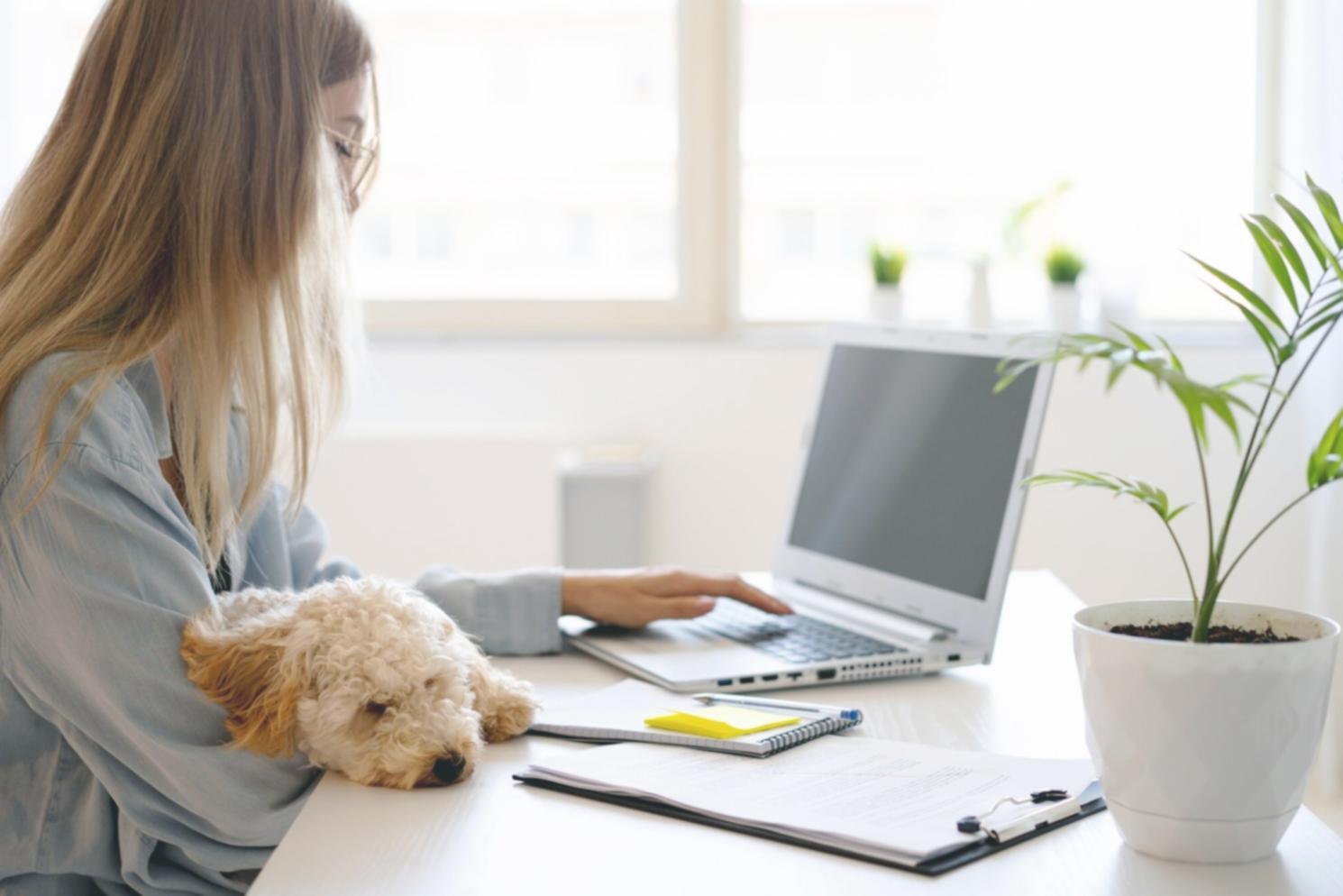 Finanzplanung mit modernen Tabellenkalkulationen strukturiert darstellen